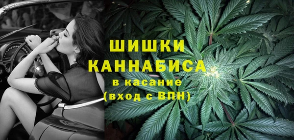 мяу мяу мука Белокуриха